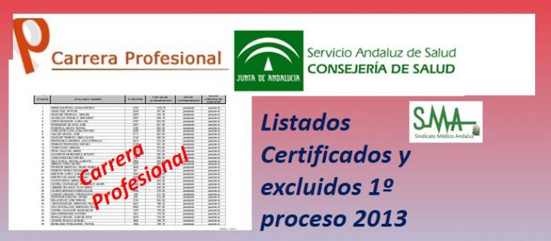 Carrera Profesional: Listados provisionales de profesionales certificados y excluidos del Primer Proceso de certificación de 2013.