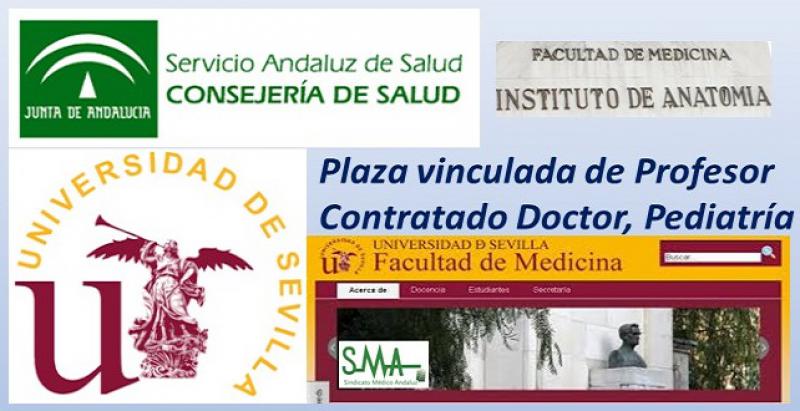 Convocado concurso público de la Universidad de Sevilla y el SAS para plaza de profesor contratado doctor con plaza vinculada.