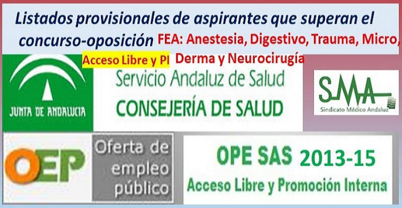 OPE 2013-15. Listados provisionales de personas aspirantes que han superado el concurso-oposición acceso libre y PI de varias especialidades FEA.