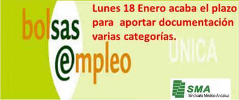 El próximo lunes 18, último día para aportar documentación para la Bolsa del SAS (corte 2015)