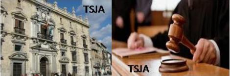 El TSJA aconseja medidas para desatascar los juzgados de los pleitos contra la Administración.