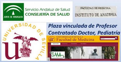 Convocado concurso público de la Universidad de Sevilla y el SAS para plaza de profesor contratado doctor con plaza vinculada.