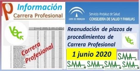 Reanudación de cómputo de los plazos de los procedimientos Carrera/Desarrollo profesional.