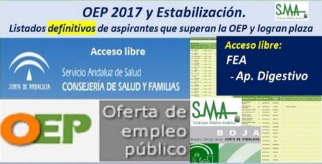 OEP 2017-Estabilización. Listados definitivos de personas aspirantes que superan el concurso-oposición y logran plaza, de FEA Aparato Digestivo, acceso libre.