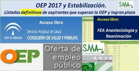 OEP 2017-Estabilización. Listados definitivos de personas aspirantes que superan el concurso-oposición y logran plaza, de FEA Anestesiología y Reanimación, acceso libre.