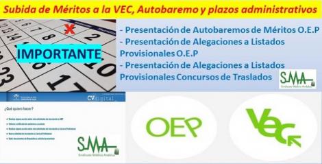 ACLARACIONES SOBRE SUBIDA DE MÉRITOS A LA VEC Y PLAZOS ADMINISTRATIVOS.