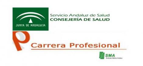 Informe sobre carrera profesional 1er corte de 2012