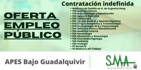 OPE APES Bajo Guadalquivir: Propuesta de contratación indefinida a las personas aspirantes que han superado el concurso-oposición de varias categorías