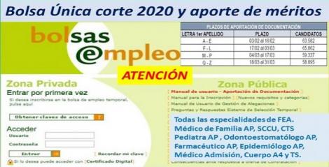 Previsión de publicaciones de Bolsa Única corte 2020 y aporte de méritos.