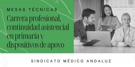 Mesas técnicas: Carrera profesional, continuidad asistencial en primaria y dispositivos de apoyo
