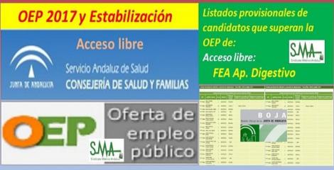 OEP 2017-Estabilización. Listado provisional de personas que superan el concurso-oposición de FEA de Aparato Digestivo, acceso libre.