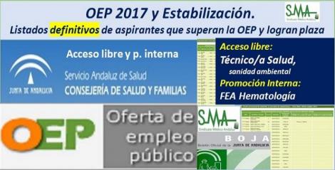 OEP 2017-Estabilización. Listados definitivos de personas aspirantes que superan el concurso-oposición y logran plaza, de FEA Hematología, promoción interna y Técnico/a de Salud (sanidad ambiental), acceso libre.