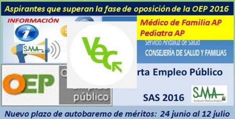 Retrasado el inicio de presentación del autobaremo de méritos para las personas que han superado la fase de oposición de Médico de Familia y Pediatra de Atención Primaria de la OEP 2016.
