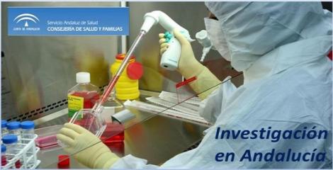Andalucía: nuevas condiciones para la intensificación de actividad investigadora.