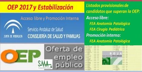 OEP 2017-Estabilización. Listado provisional de personas que superan el concurso-oposición de FEA Anatomía Patológica (libre y p. interna) y Cirugía Pediátrica (libre).