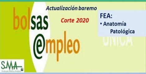 Bolsa. Publicación de listas de aspirantes con actualización del baremo de méritos (corte 2020) de FEA de Anatomía Patológica.