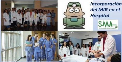 Las claves que el MIR no puede olvidar el día que se incorpora al hospital.