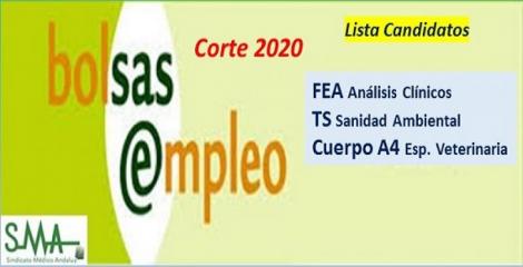 Bolsa. Listas definitivas de candidatos (corte 2020) de FEA de Análisis Clínicos, Cuerpo A4, especialidad Veterinaria y TS Sanidad Ambiental.