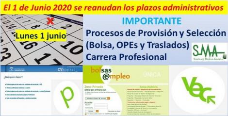¡IMPORTANTE. VEC Y BOLSA! El 1 de junio se reanudan los plazos administrativos.