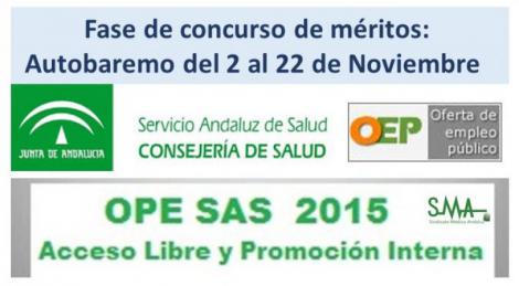 El 2 de Noviembre se inicia la segunda fase de la OEP 2013-2015 con la presentación del autobaremo. 