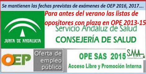 El SAS resolverá antes del verano la Oferta de Empleo Público 2013-2015. Y mantienen las fechas de la OEP 2016.