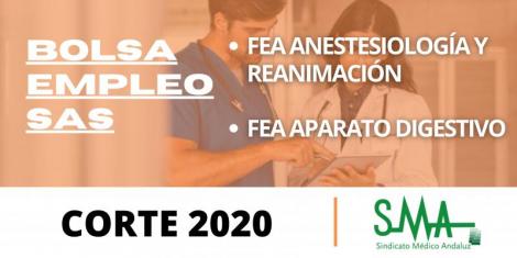 Listas definitivas de personas candidatas de Bolsa (corte 2020)