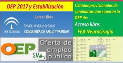 OEP 2017-Estabilización. Listado provisional de personas que superan el concurso-oposición de FEA de Neurocirugía (acceso libre). OEP 2017-Estabilización. Listado provisional de personas que superan el concurso-oposición de FEA de Neurocirugía (acceso libre).