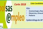 Bolsa SAS
