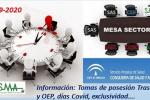 Mesa Sector