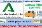 APS interin