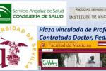Universidad