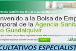 Bolsa APS B