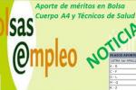 Bolsa SAS