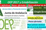 OEP 2017-Es