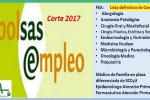Bolsa SAS