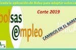 Bolsa SAS