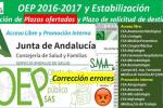 OEP 2017-Es