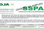 Empleo APS