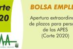 Bolsa APES