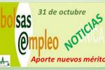 Bolsa SAS