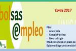 Bolsa SAS