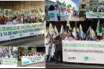 Protestas A