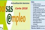 Bolsa SAS
