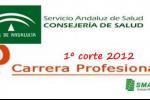 Carrera Pro