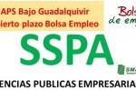 Bolsa APS