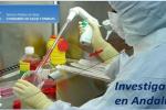 Investigaci