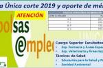 Bolsa SAS