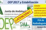 OEP 2017-Es