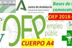 OEP 2018-20