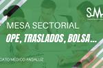Mesa Sector